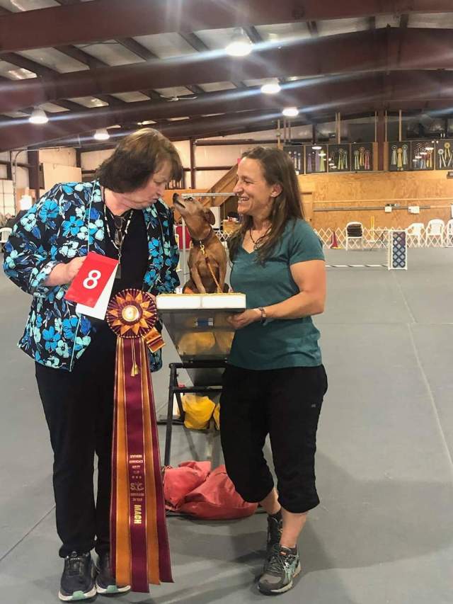 FB_IMG_1574122202471