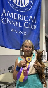 Shadowpins Sunsprite Magic Zeppelin winning Best of Breed in Tampa 